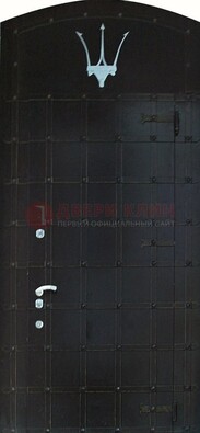 Металлическая арочная дверь ДА-22 высокого качества в Реутове