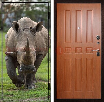 Металлическая дверь с фотопечатью носорога ДФ-31 в Реутове