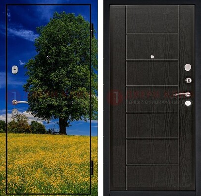 Железная дверь с фотопечатью дерева в поле ДФ-36 в Реутове